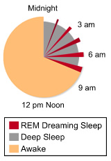 Pie Chart of Sleep and Dreams