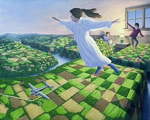 Dream Flying