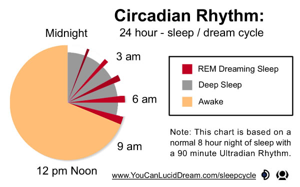 Sleep Cycle Circadian Rhythm Pie Graph