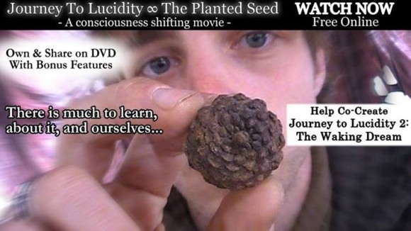 journey to lucidity